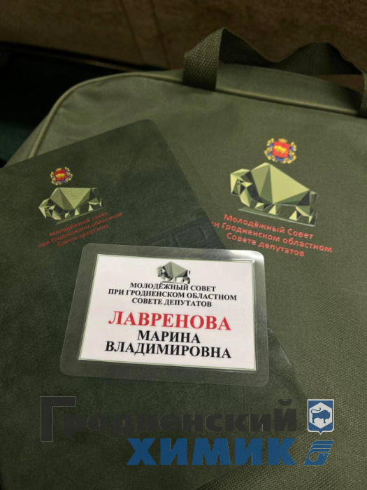 Молодежь ФЗХ_молодёжный Совет.jpeg